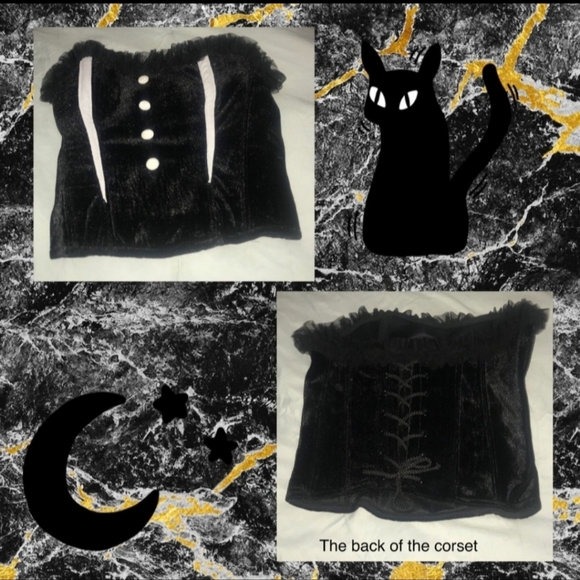 "MOONLIGHT KITTEN!" WOMENS DELUXE BLACK CAT COSTUME SIZE S/M NEW! - Picture 4 of 12